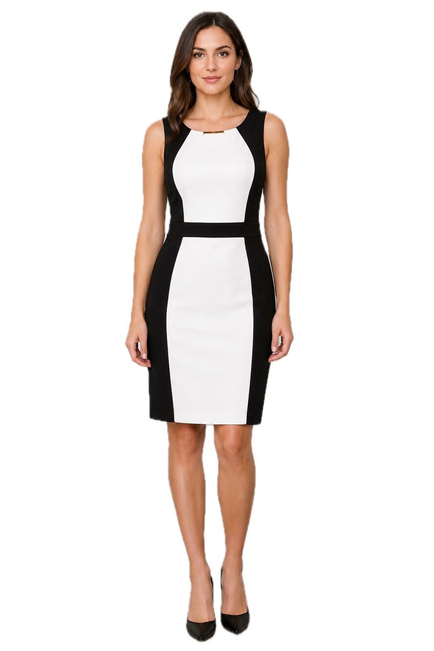 Black White Colorblock Sheath Dress XL Sleeveless Career Office Allen B Schwartz